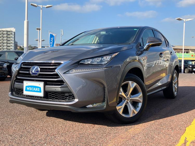 NX300h バージョンL 4WD