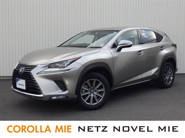 NX300h Iパッケージ 4WD