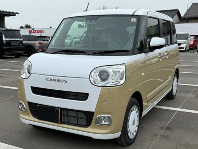 ムーヴキャンバス  ストライプス G