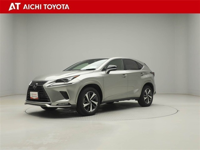 NX300h スパイス&シック 4WD