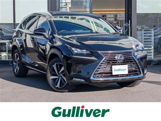 NX300 Iパッケージ本革シート 修復歴無し