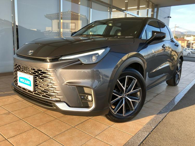 LBXクール E-Four 4WD