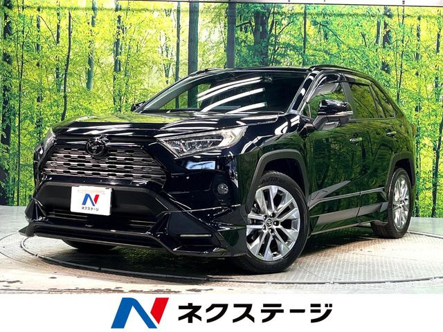 RAV4 2.0 G Zパッケージ 4WD （6BA-MXAA54）