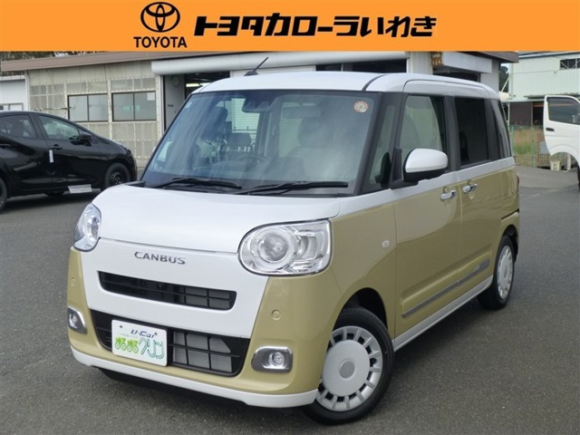 ムーヴキャンバス  ストライプス G