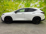 NX 350h Fスポーツ 