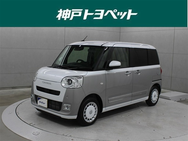 ムーヴキャンバス ストライプス G