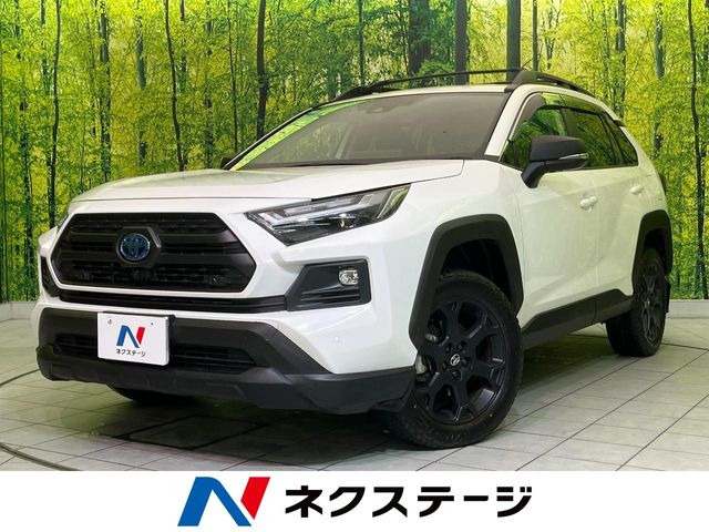 RAV4 2.5 ハイブリッド アドベンチャー オフロードパッケージ II E-Four 4WD （6AA-AXAH54）