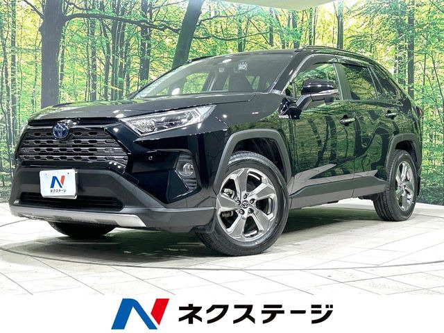 RAV4 2.5 ハイブリッド G E-Four 4WD （6AA-AXAH54）