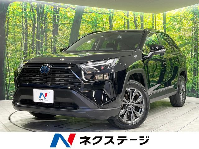 RAV42.5 ハイブリッド X
