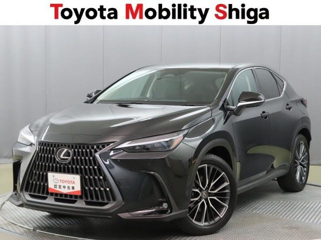 NX 350h バージョンL （6AA-AAZH20）