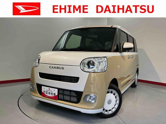 ムーヴキャンバス  ストライプス G