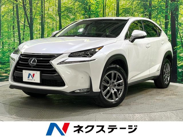 NX300h バージョンL