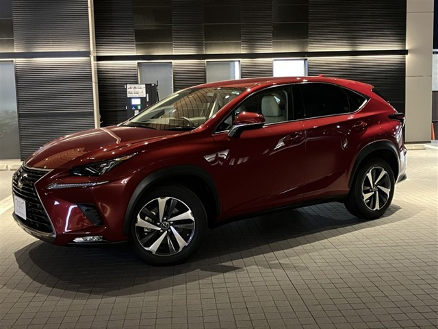 NX 300 バージョンL 