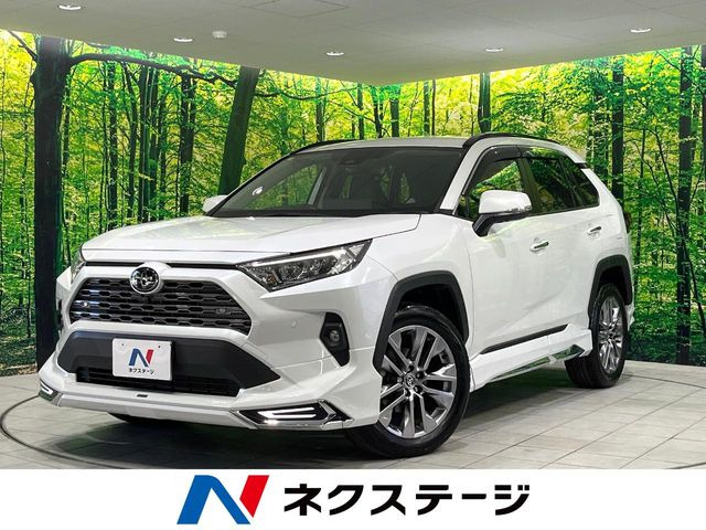 RAV4 2.0 G Zパッケージ 4WD （6BA-MXAA54）