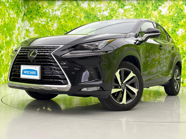 NX300h Iパッケージ