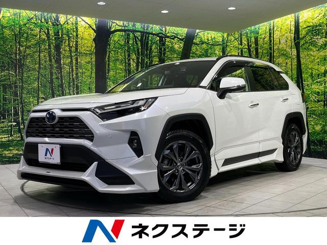 RAV4 2.5 ハイブリッド G E-Four 4WD （6AA-AXAH54）
