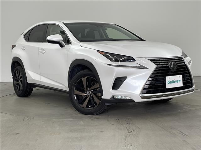 NX300 バージョンL本革シート 修復歴無し