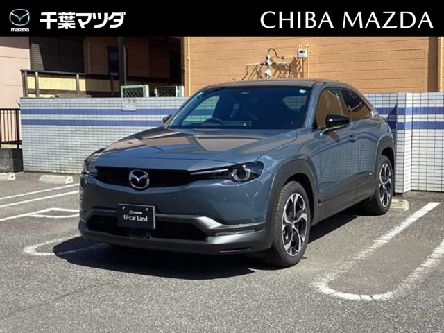 MX-302.0 ナチュラル モノトーン