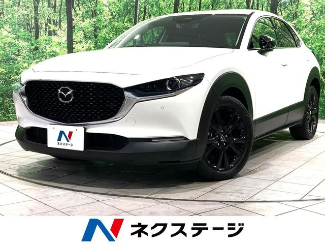 CX-302.0 20S ブラックトーンエディション