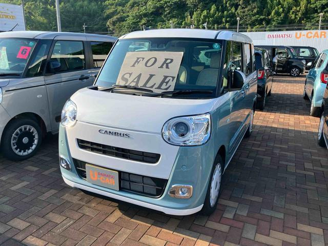 ムーヴキャンバス  ストライプス G