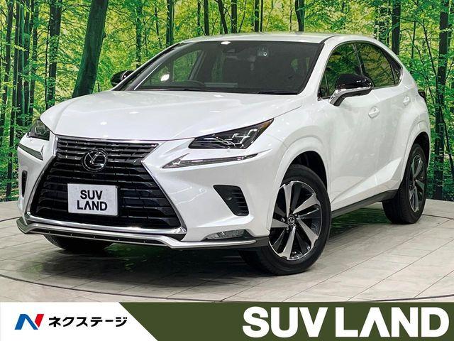 NX300 スパイス&シック