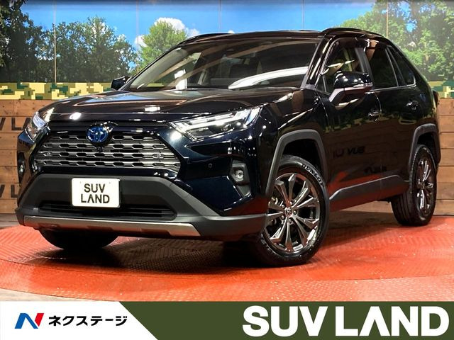 RAV4 2.5 ハイブリッド G E-Four 4WD （6AA-AXAH54）