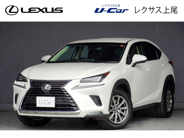 NX 300 Iパッケージ 