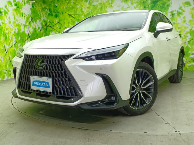 NX350h バージョンL