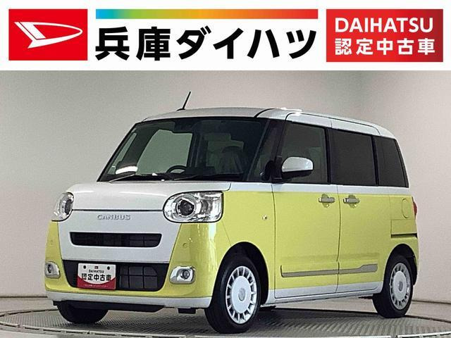 ムーヴキャンバス ストライプス G