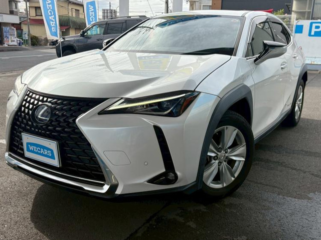 UX250h バージョンC