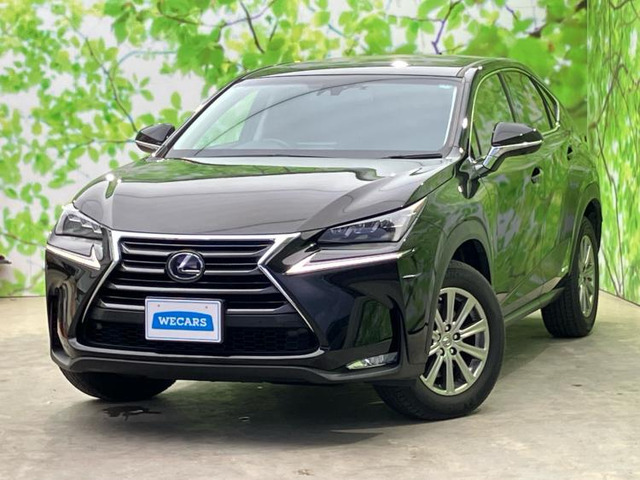 NX300h Iパッケージ