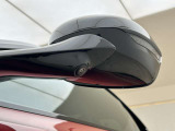 Blind Spot Monitoring