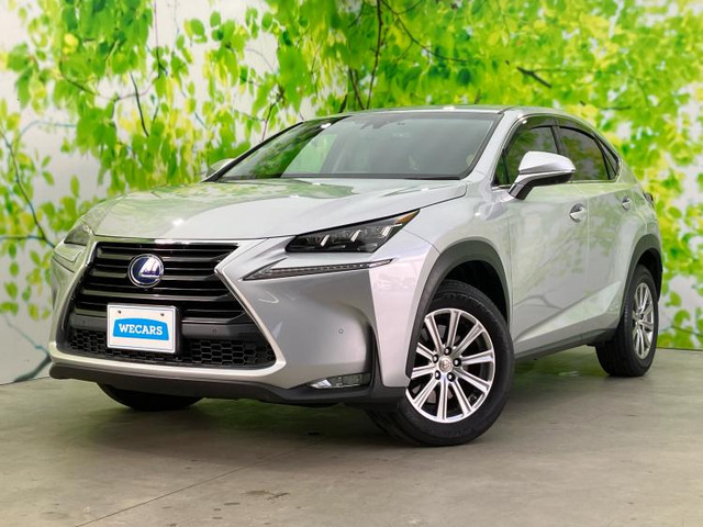 NX 300h Iパッケージ 