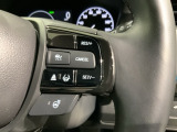 クルーズコントロールを装備しています。高速道路などで一定の速度で走ってくれるので運転が楽ですよ!速度を設定できますので、スピードの出しすぎにも注意できます。