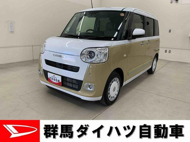 ムーヴキャンバス ストライプス G