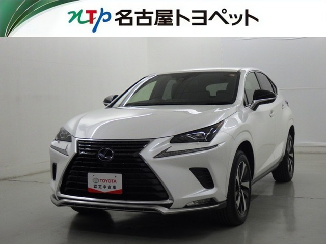 NX300hスパイス&シック