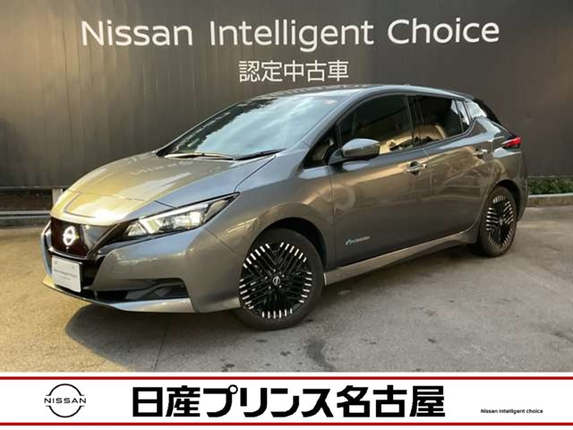 リーフ  X Vセレクション