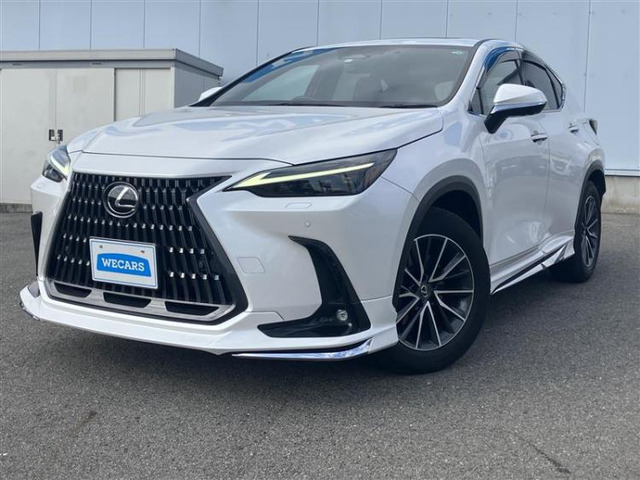 NX250 バージョンL