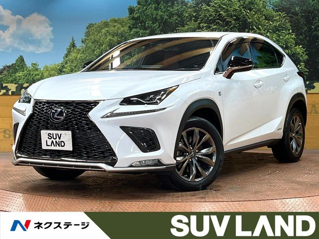 NX 300h Fスポーツ