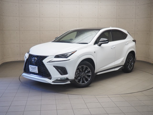 NX300h クール&ブライト 4WD