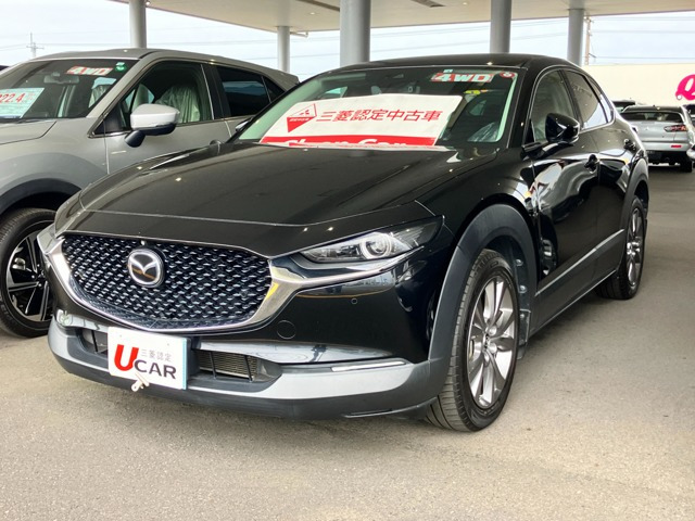 CX-302.0 20S プロアクティブ ツーリングセレクション 4WD