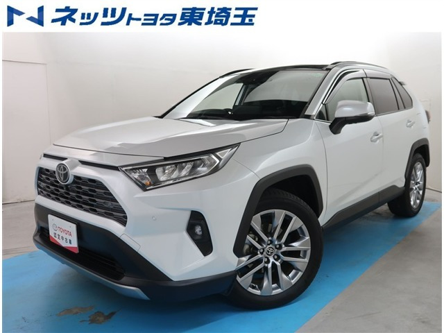 RAV4 2.0 G Zパッケージ 4WD