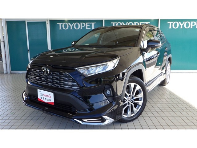 RAV4 2.0 G Zパッケージ 4WD（6BA-MXAA54）