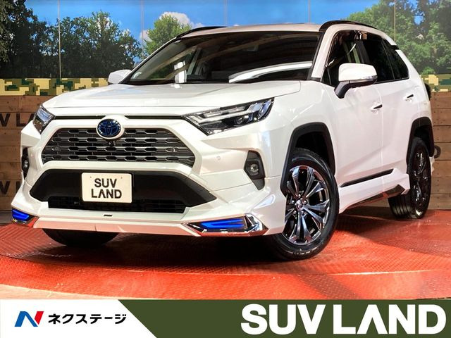 RAV4 2.5 ハイブリッド G E-Four 4WD （6AA-AXAH54）