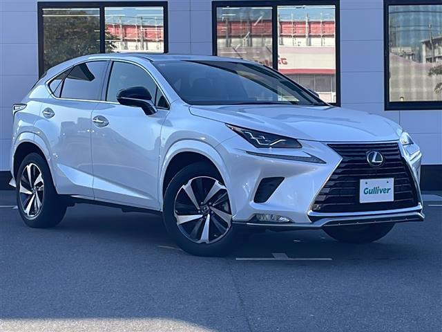 NX300 スパイス&シック本革シート サンルーフ