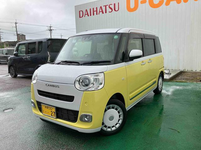 ムーヴキャンバス  ストライプス G