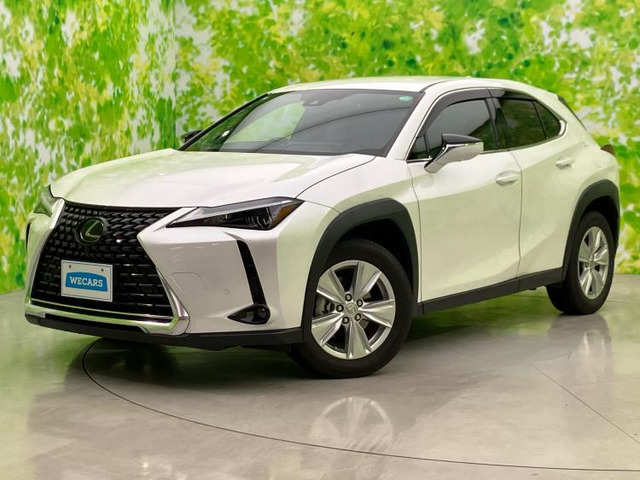 UX250h バージョンC