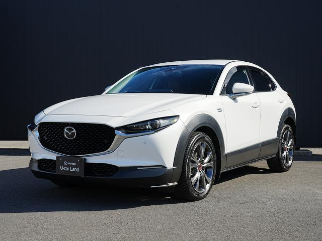 CX-301.8 XD 100周年特別記念車 4WD