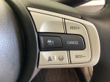 ハンドルにHondaセンシング系のクルーズコントロールやレーンキープアシストなどの操作スイッチが装備されています。ハンドルから手を離さず安全に操作できます。