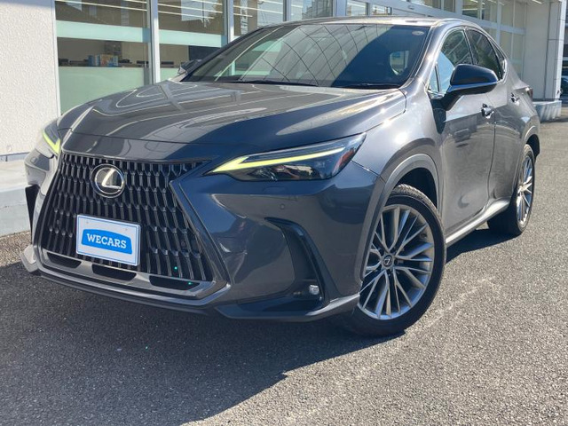 NX250 バージョンL